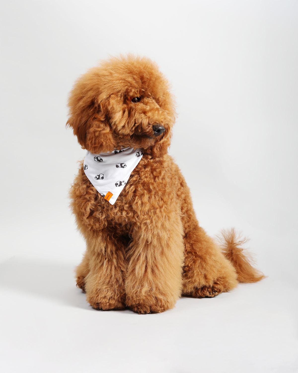 Pawkerchiefs